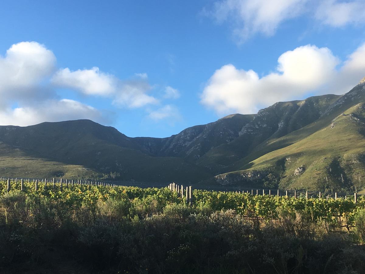 Misty Mountains Villa Hermanus Exteriör bild