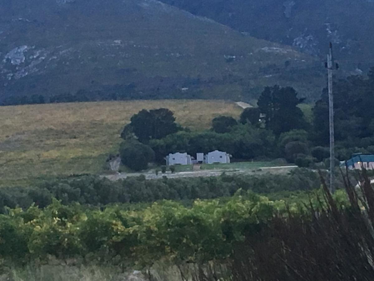 Misty Mountains Villa Hermanus Exteriör bild