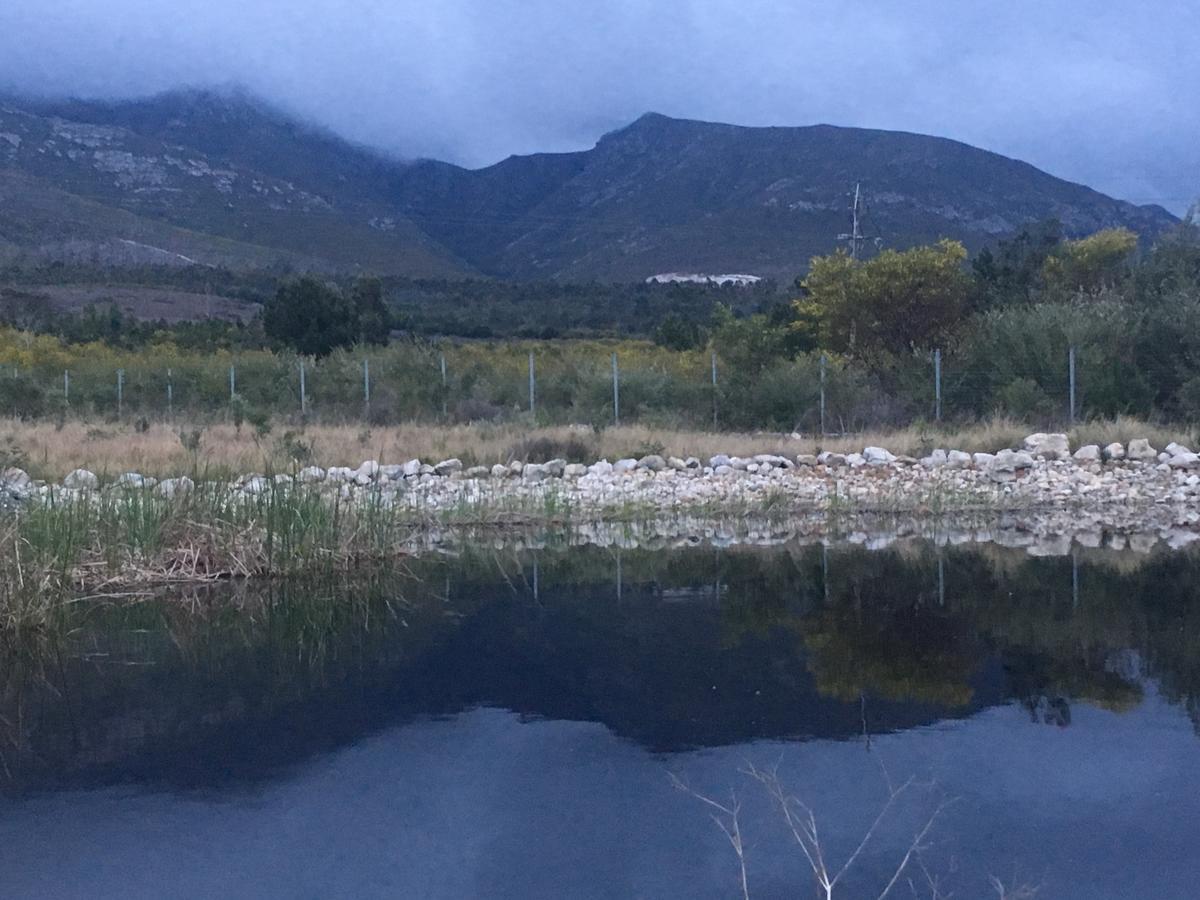 Misty Mountains Villa Hermanus Exteriör bild